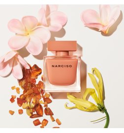 Narciso Amber - Eau de Parfum Narciso Amber - Eau de Parfum
